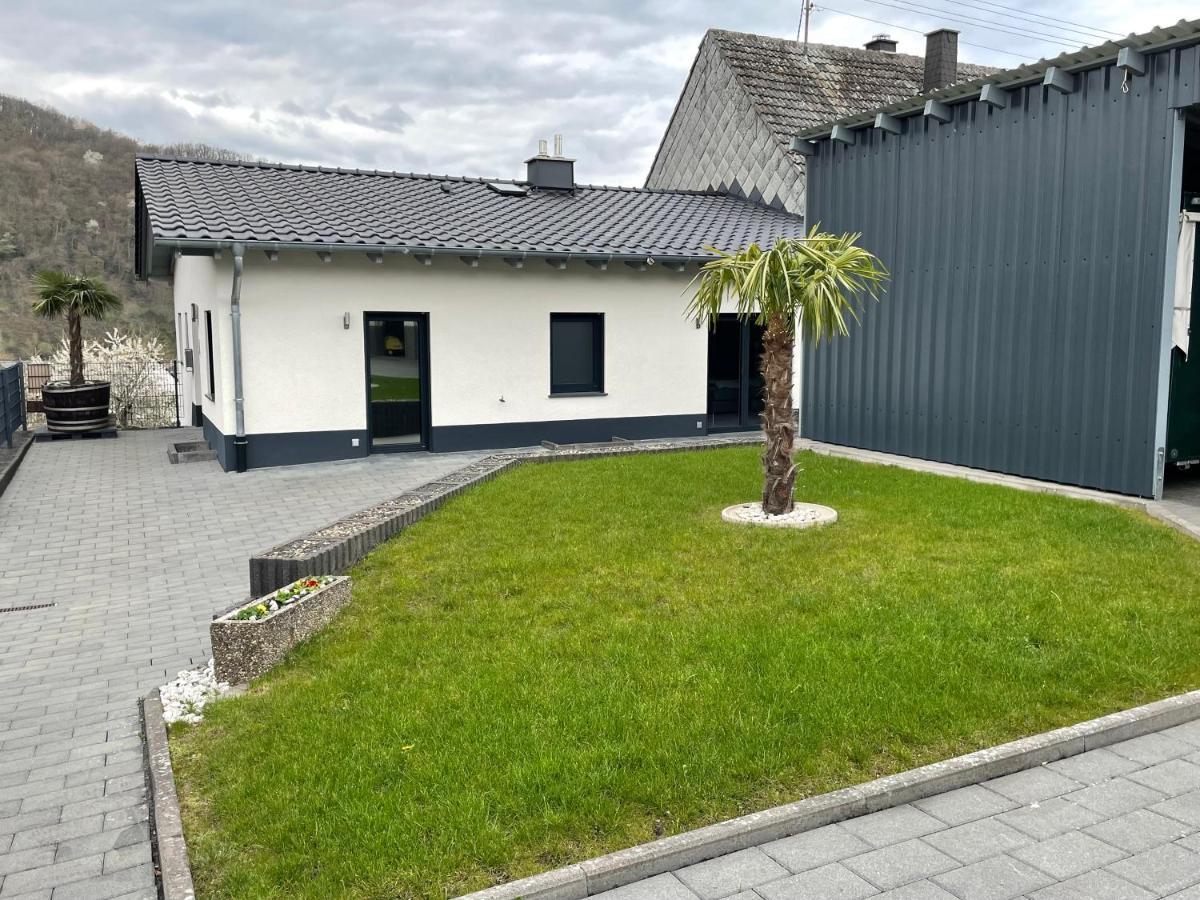 Ferienwohnung " Wein Unter Palmen " Neumagen-Dhron Dış mekan fotoğraf