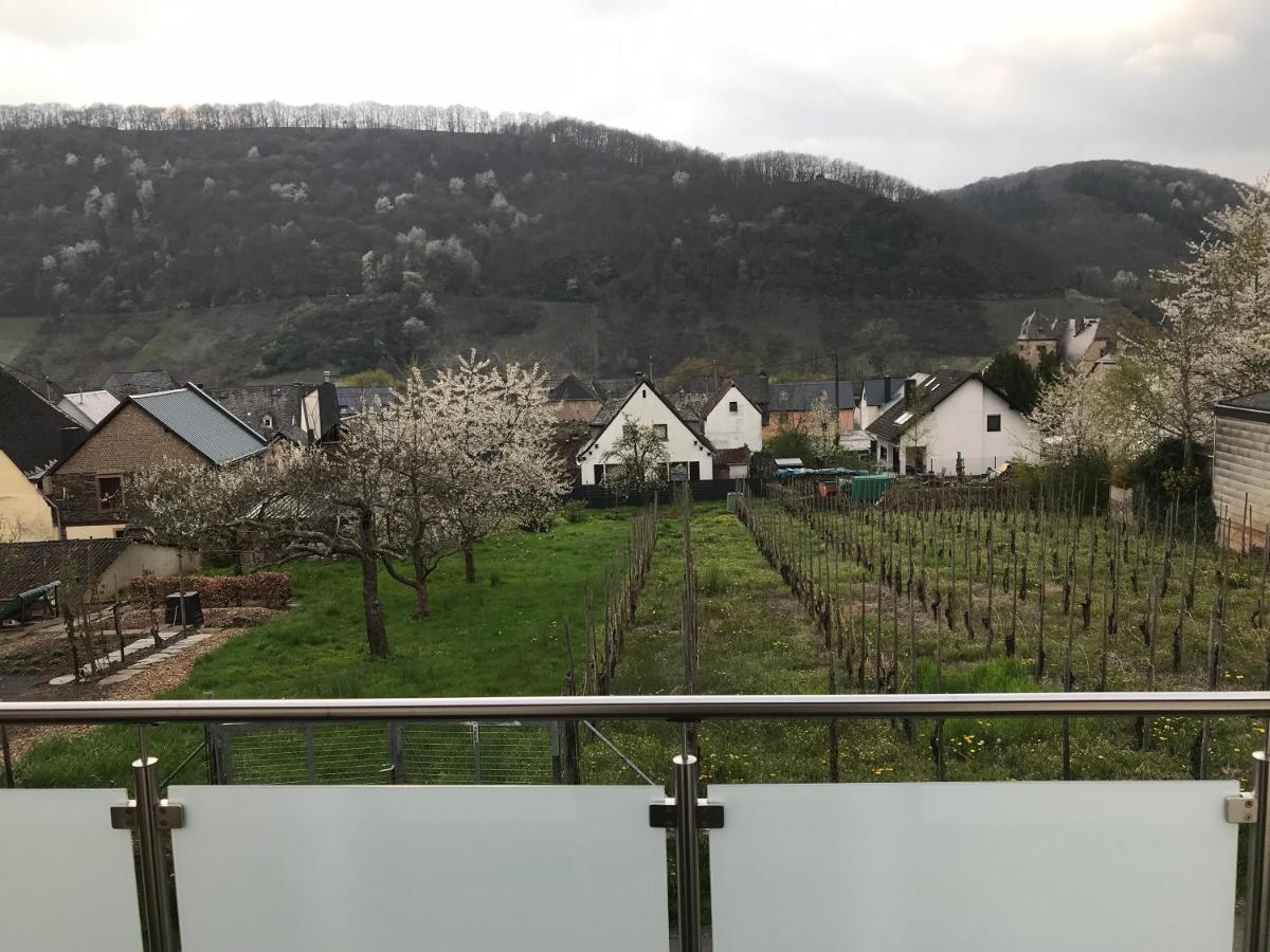 Ferienwohnung " Wein Unter Palmen " Neumagen-Dhron Dış mekan fotoğraf