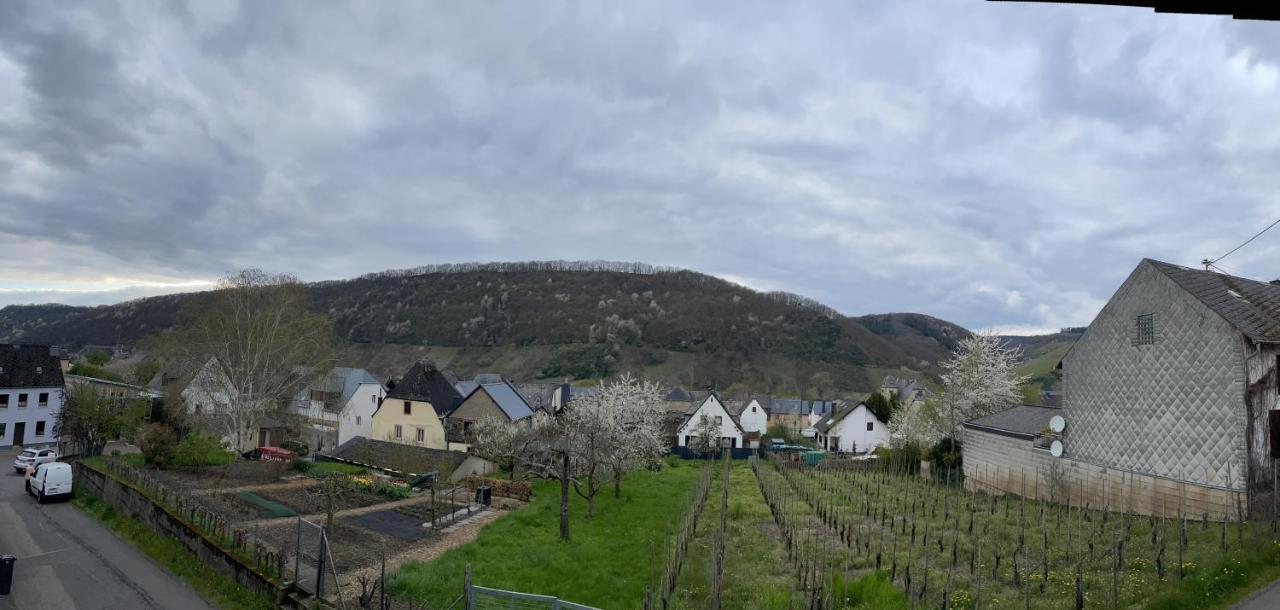 Ferienwohnung " Wein Unter Palmen " Neumagen-Dhron Dış mekan fotoğraf