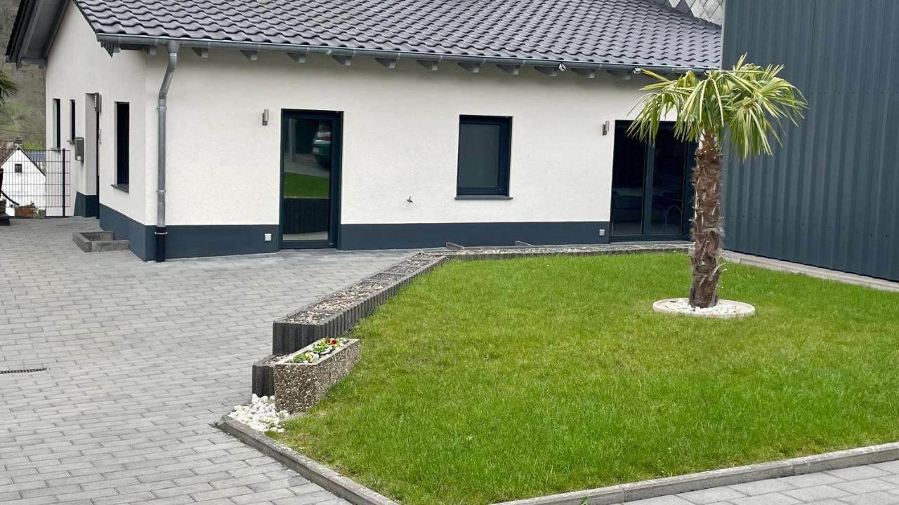 Ferienwohnung " Wein Unter Palmen " Neumagen-Dhron Dış mekan fotoğraf
